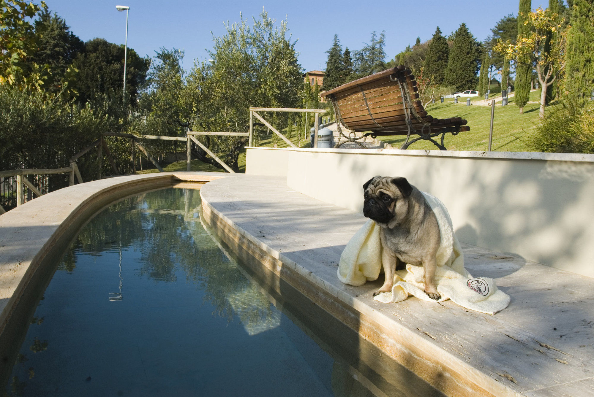 Fonteverde Lifestyle & Thermal Retreat - The Leading Hotels Of The World Сан-Кашано-дей-Баньй Удобства фото A dog at a swimming pool